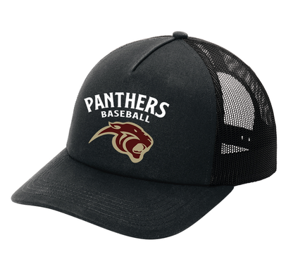 Panthers Baseball Black Embroidered Mesh Back Cap